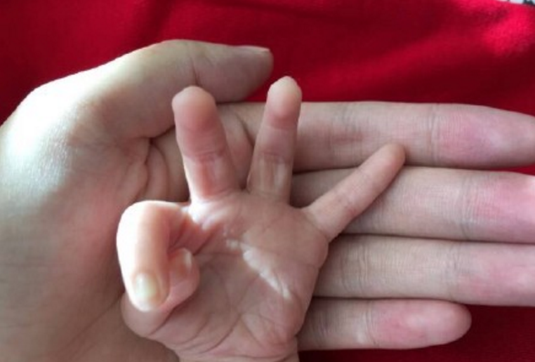 張嘉倪兒子名字怎么來的 張嘉倪兒子為什么叫小OK