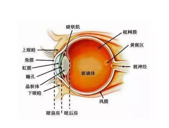 小孩玩具太陽鏡能防曬嗎 給孩子買玩具太陽鏡好不好