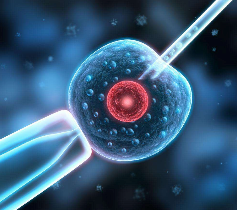 生男生女是天注定嗎 試管嬰兒能篩選寶寶性別嗎