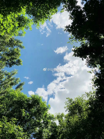 六月你好6月早安心語 6月你好5月再見的心情說說圖片