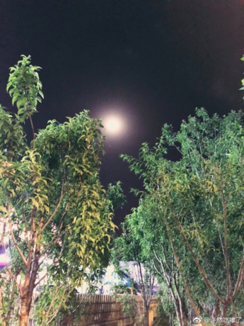 六月你好6月早安心語 6月你好5月再見的心情說說圖片