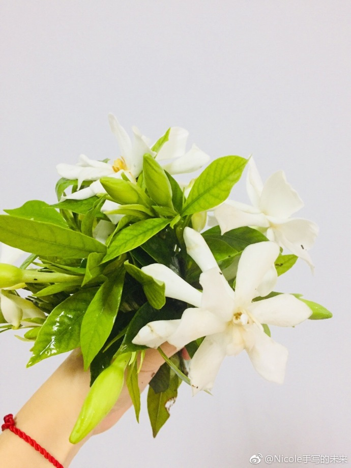 六月你好6月早安心語 6月你好5月再見的心情說說圖片