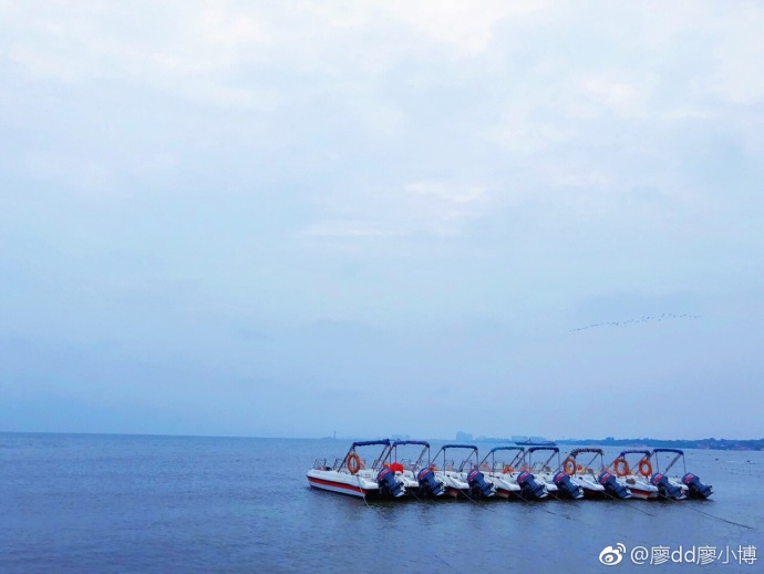 六月你好6月早安心語 6月你好5月再見的心情說說圖片