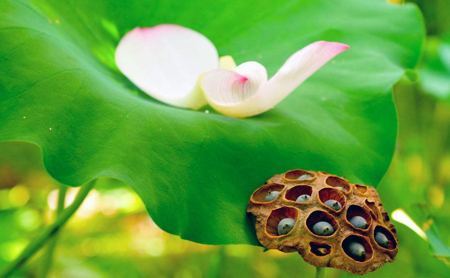 五月過去六月到來的說說 六月份到來的經典說說2018 五月過去六月到來的說說 六月份到來的經典說說2018