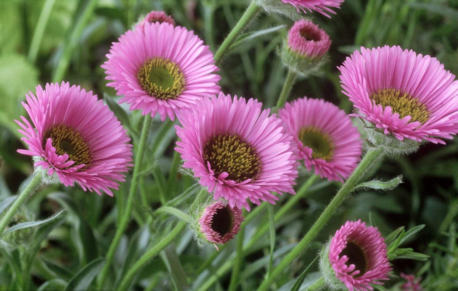 五月過去六月到來的說說 六月份到來的經典說說2018 五月過去六月到來的說說 六月份到來的經典說說2018