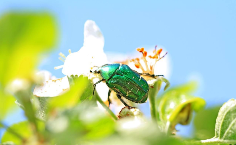 五月過去六月到來的說說 六月份到來的經典說說2018 五月過去六月到來的說說 六月份到來的經典說說2018