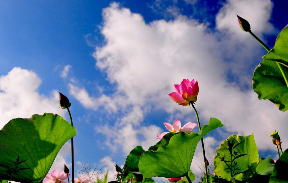 五月過去六月到來的說說 六月份到來的經典說說2018 五月過去六月到來的說說 六月份到來的經典說說2018