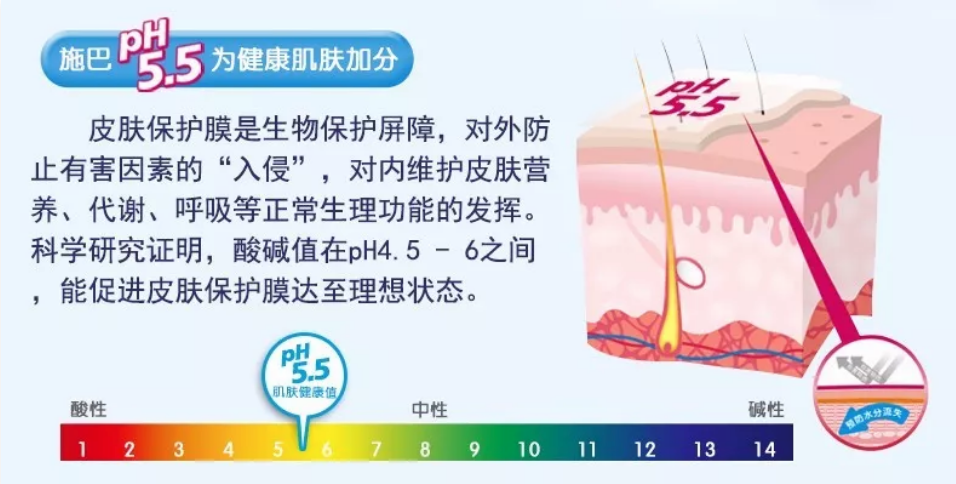 施巴兒童洗發液多少錢 施巴兒童洗發液使用心得