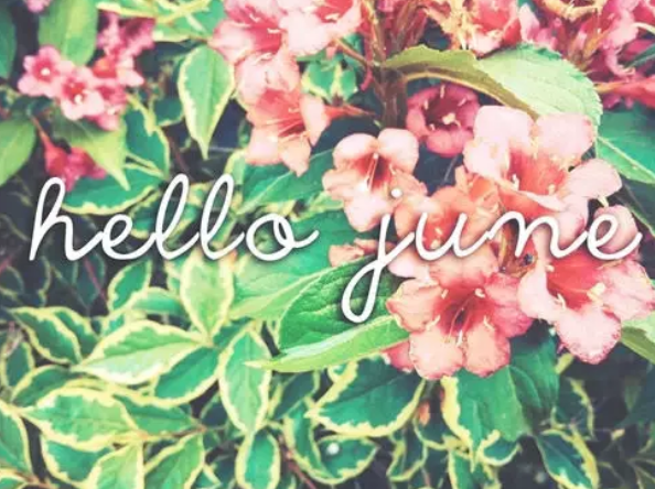 5月再見6月祝福 五月最后一天祝福句子