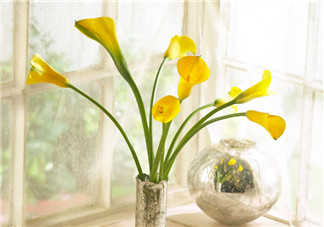 畢業(yè)就分手催淚傷感說說句子 逃不過畢業(yè)分手季的魔咒傷感心情說說