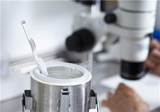 試管嬰兒單一胚胎植入是什么 單一胚胎植入有什么好處 試管嬰兒單一胚胎植入是什么 單一胚胎植入有什么好處