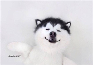 你好六月唯美句子短語 六月我來了的心情說說圖片