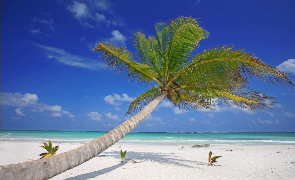 2018致夏天的自己的心情說說 夏季致自己的感言短語朋友圈 2018致夏天的自己的心情說說 夏季致自己的感言短語朋友圈