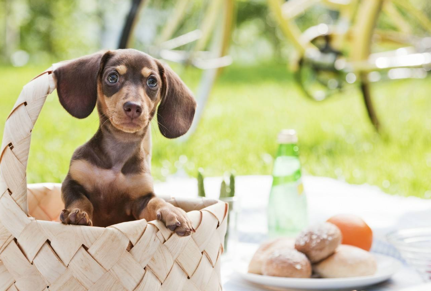 單純的六月心情說說 六月在夏天之前的心情感慨朋友圈