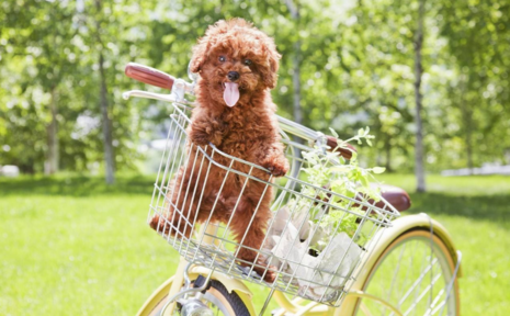 單純的六月心情說說 六月在夏天之前的心情感慨朋友圈