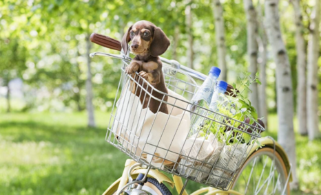 單純的六月心情說說 六月在夏天之前的心情感慨朋友圈