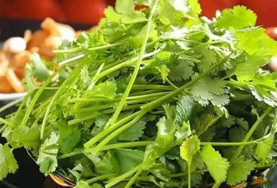 夏天生氣回奶怎么挽救2018 為什么哺乳媽媽生氣會(huì)回奶