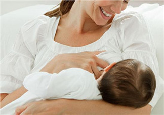 吃通草下奶有效果嗎 吃通草下奶一天吃幾次 吃通草下奶有效果嗎 吃通草下奶一天吃幾次