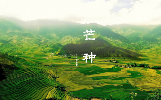 2018今日芒種帶圖心情說(shuō)說(shuō) 今天是芒種配圖短語(yǔ)說(shuō)說(shuō)朋友圈