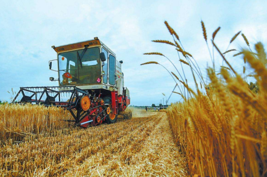 2018芒種配圖勵志晚安心語 芒種節氣晚安問候語