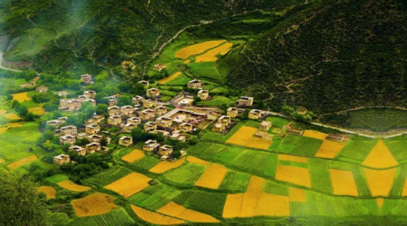 2018芒種配圖勵志晚安心語 芒種節氣晚安問候語