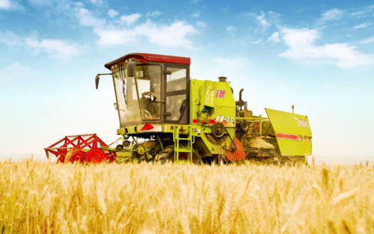 2018芒種配圖勵志晚安心語 芒種節氣晚安問候語