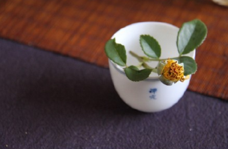 芒種送花神的短語(yǔ)句子 送花神迎盛夏的心情說(shuō)說(shuō)問(wèn)候語(yǔ)