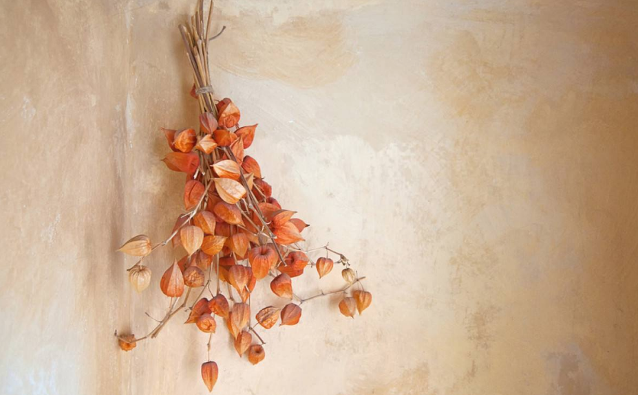 芒種送花神的短語(yǔ)句子 送花神迎盛夏的心情說(shuō)說(shuō)問(wèn)候語(yǔ)