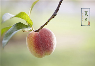 夏至是夏天來了嗎 立夏和夏至區別是什么