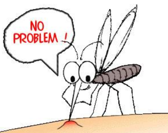 寶寶夏日防蚊止癢小妙招 寶寶怎么有效預防蚊蟲叮咬 寶寶夏日防蚊止癢小妙招 寶寶怎么有效預防蚊蟲叮咬