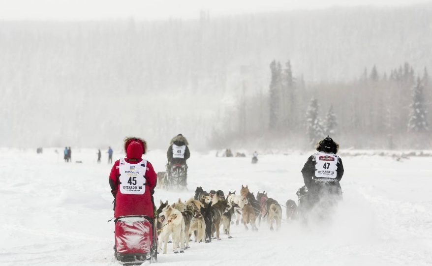高考沒有畢業(yè)旅行的心情說說 畢業(yè)旅行計(jì)劃泡湯幽默的句子短語
