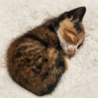 天氣熱的不想吃飯心情說說 不想吃飯沒胃口的說說句子