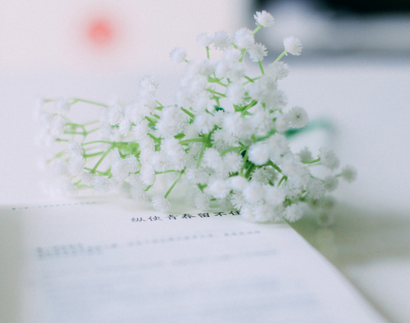 寶寶胎教故事：安靜是一種生活態(tài)度