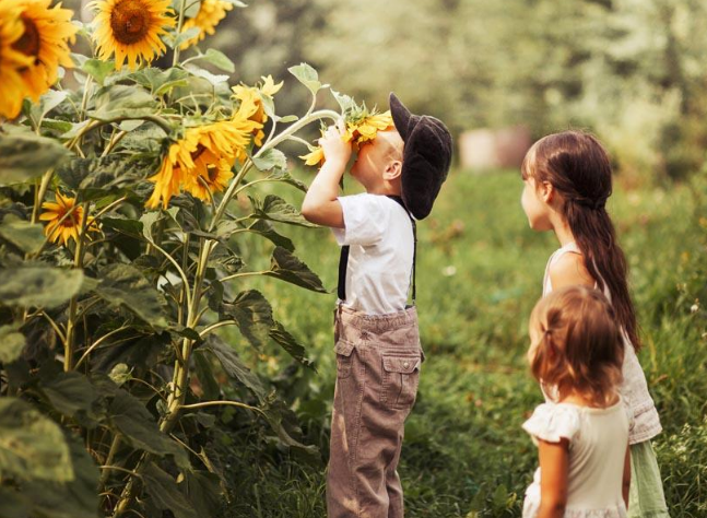 太調皮的孩子怎么教育 規矩+選擇應對熊孩子