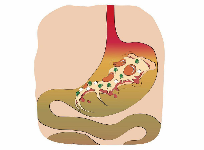 端午節吃粽子腸胃不適怎么辦 怎么緩解吃粽子消化不良 端午節吃粽子腸胃不適怎么辦 怎么緩解吃粽子消化不良