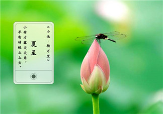 描寫夏至到來的句子說說 關于節氣立夏的句子短語