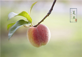 2018今天夏至的早安心語說說 今日夏至的帶圖早安短語朋友圈 2018今天夏至的早安心語說說 今日夏至的帶圖早安短語朋友圈