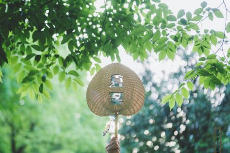 2018今天夏至的早安心語說說 今日夏至的帶圖早安短語朋友圈 2018今天夏至的早安心語說說 今日夏至的帶圖早安短語朋友圈