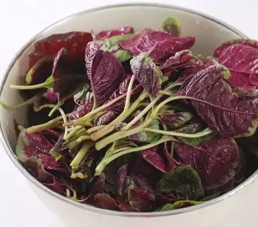 夏天小孩吃莧菜有什么好處 小孩吃莧菜好不好2018