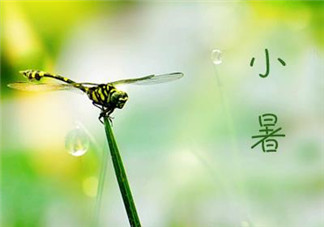 2018小暑是什么時候 怎么給孩子講小暑的含義