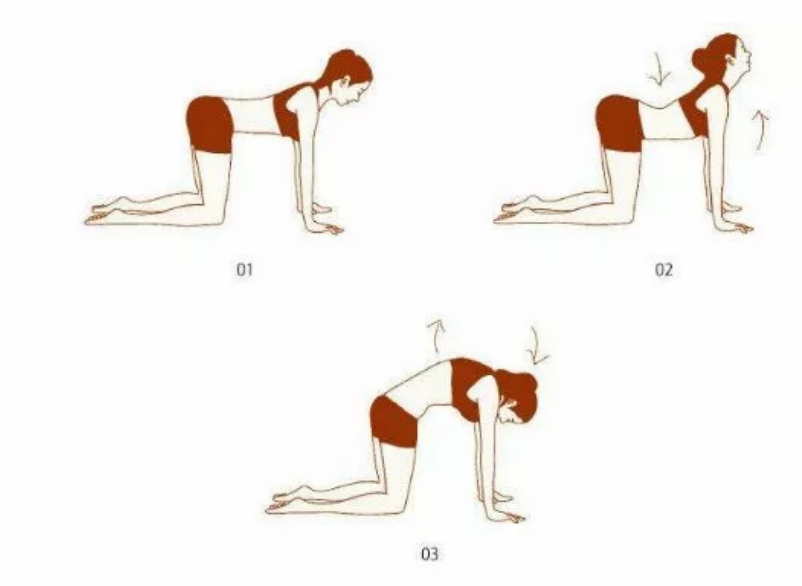 米蘭達可兒二胎產后身材為什么不走樣 產后如何預防骨盆松弛變形