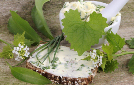 孕婦能喝放香草的湯嗎 哪些香草孕期服用有功效