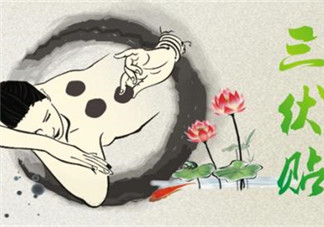 三伏天敷貼有什么作用 冬病夏治三伏貼真的管用嗎