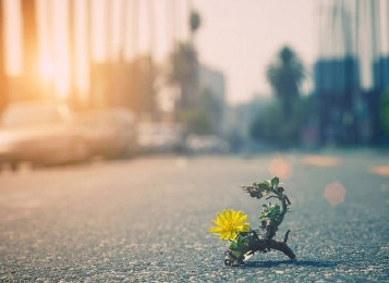 迎接盛夏的心情說說 關于盛夏感慨的句子圖片 迎接盛夏的心情說說 關于盛夏感慨的句子圖片