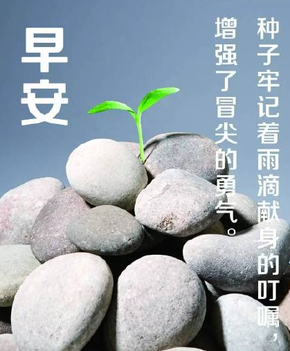 迎接盛夏的心情說說 關于盛夏感慨的句子圖片 迎接盛夏的心情說說 關于盛夏感慨的句子圖片