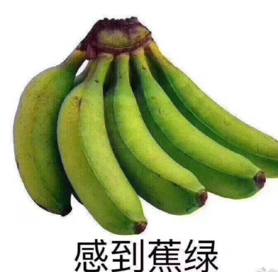 被蚊子咬睡不著說說心情 被蚊子咬到懷疑人生的句子感慨
