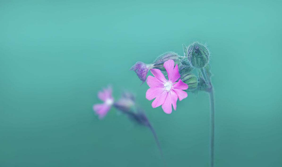 2018致七月的自己說說心情大全 正能量寫給7月的的自己的句子短語