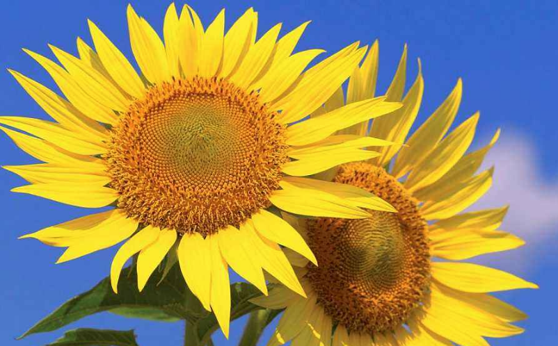 2018致七月的自己說說心情大全 正能量寫給7月的的自己的句子短語