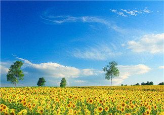 致七月的自己謝身邊的你的句子大全 七月感恩身旁人的心情說說短語