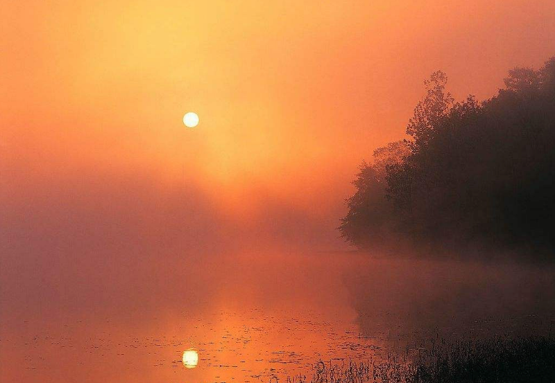 2018轉眼一年已過半的心情感慨 轉眼七月的句子說說朋友圈